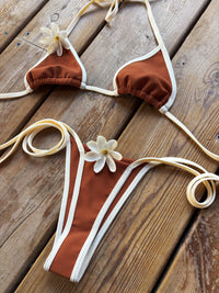 ENSEMBLE BRAZIL BROWN